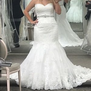 Brand new wedding dress